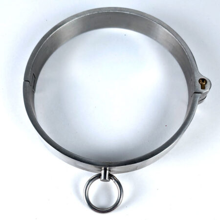 brushed silver collar